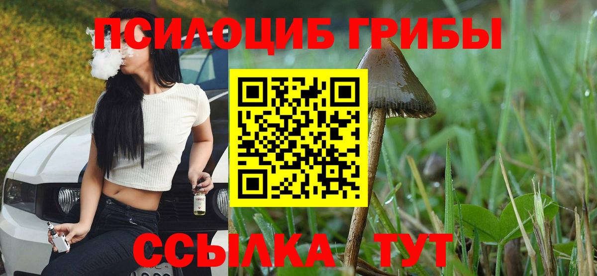 Псилоцибиновые грибы MAGIC MUSHROOMS Переславль-Залесский