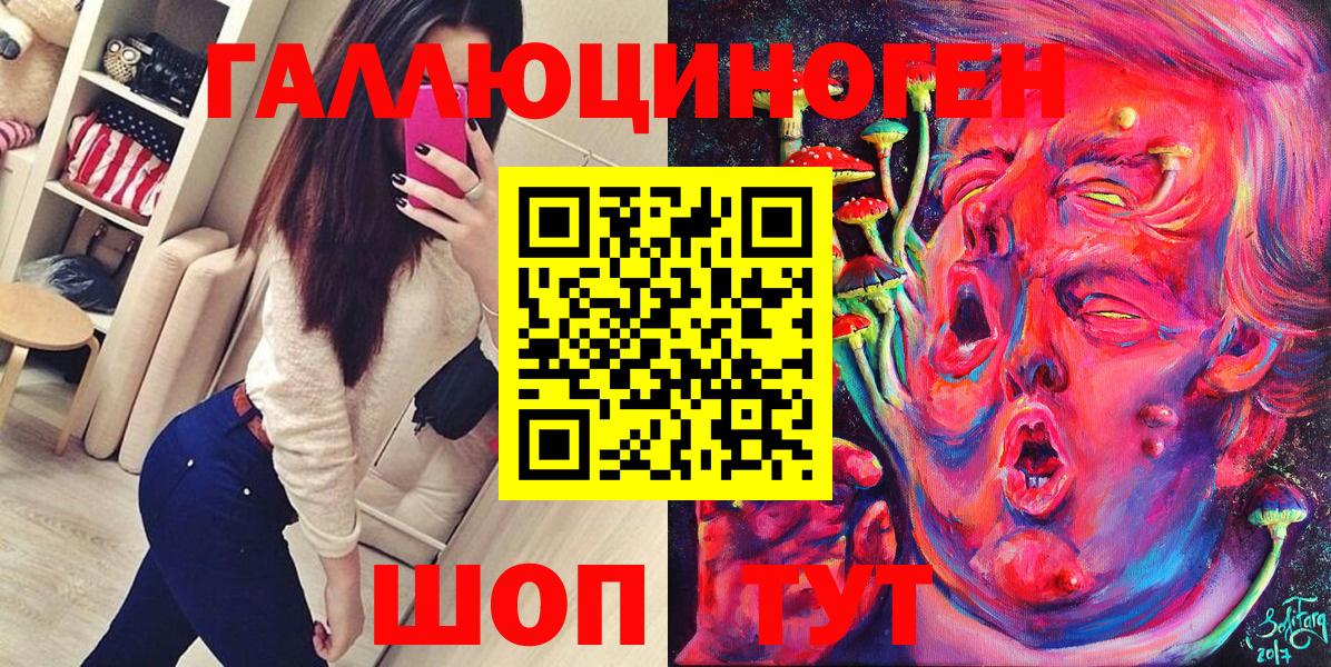 Псилоцибиновые грибы Psilocybine cubensis  Вход с VPN  Переславль-Залесский 